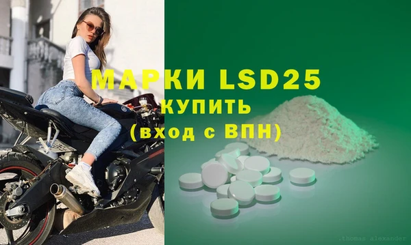 стафф Алексин