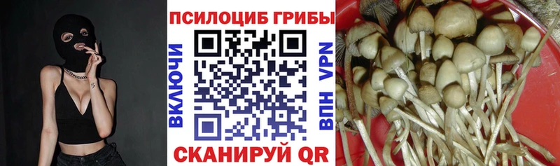 Галлюциногенные грибы ЛСД  Черепаново 